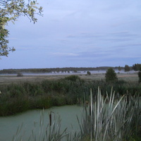 Вечерний туман