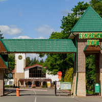 Беловежская пуща