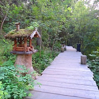 Обустроенная тропа на гору Паасонвуори (Паасо)