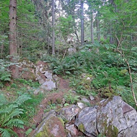 Вдоль тропы на гору Паасонвуори (Паасо)