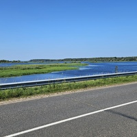 Вязынь