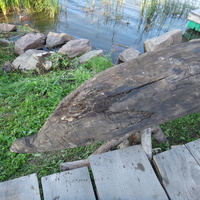 На территории исторического парка "Бастион".  "ЛАДЕЙНАЯ ИСТОРИЯ". Флот парка «Бастiонъ». Часть корпуса лодки-долблёнки, найденной при раскопках на территории этого парка. Такие лодки строили с каменного века.