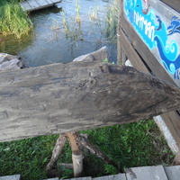 На территории исторического парка "Бастион".  "ЛАДЕЙНАЯ ИСТОРИЯ". Флот парка «Бастiонъ». Часть корпуса лодки-долблёнки, найденной при раскопках на территории этого парка. Такие лодки строили с каменного века.