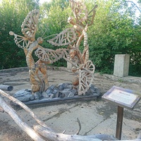 На территории исторического парка "Бастион". Выставка деревянных скульптур "Тайная жизнь насекомых". Бабочки