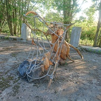 На территории исторического парка "Бастион". Выставка деревянных скульптур "Тайная жизнь насекомых". Паук-Рыбак