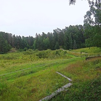 Тропа от Валаамской фермы к Коневскому скиту