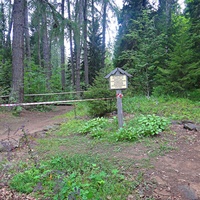 Пустынька игумена Дамаскина