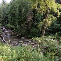 Река Белокуриха