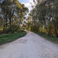 Лесная улица