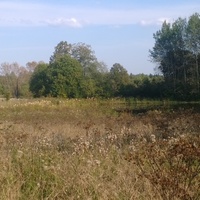 Пруд в Фомино