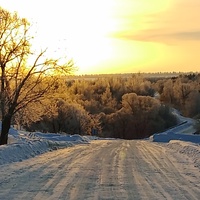 Дорога в Кожевино(въезд)