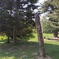 Замок Шенборн.