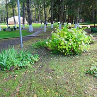 Музей-усадьба "Ботик Петра 1". Цветник пред входом в Белый дворец.