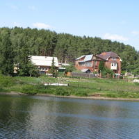 Зеленый бор