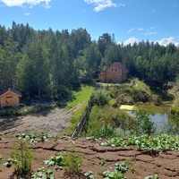 Рядом с кафе "Лесная сказка"