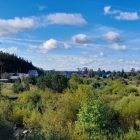 Село Краснополье