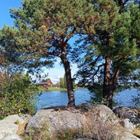 Пруд на реке Вилюй