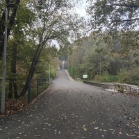 Парк Василе Александри.
