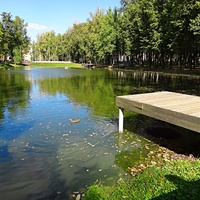 Парк усадьбы Кривякино с каскадным прудом.