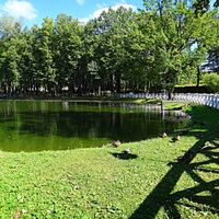 Парк усадьбы Кривякино с каскадным прудом.