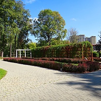 Парк усадьбы Кривякино. Пергола перед декоративной аркой.