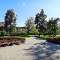 Парк усадьбы Кривякино.