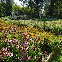 Парк усадьбы Кривякино. Цветник и качели.