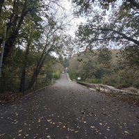 Городской парк.Единцы.
