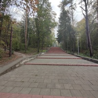 Городской парк.Единцы.