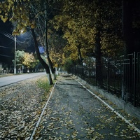 Братушаны.Ул.Ленина.