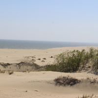 Экологическая тропа "Высота Эфа".