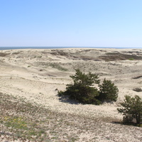 Экологическая тропа "Высота Эфа".