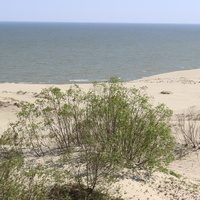 Экологическая тропа "Высота Эфа".