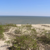 Экологическая тропа "Высота Эфа".