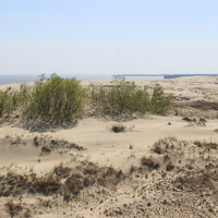 Экологическая тропа "Высота Эфа".