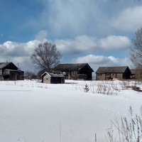 Вид на д.Максимовская