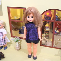 Зеленоградский музей кукол.