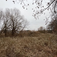 Д. Лопушно (Дятловский район) Задний двор мельницы. ноябрь 2024