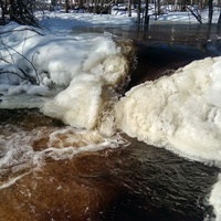 Ручей вблизи д. Козулино