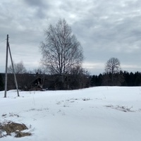 Д. Кузнечиха