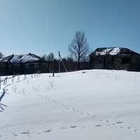 Окрестности д. Зимница