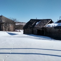 Улица в д. Зимница