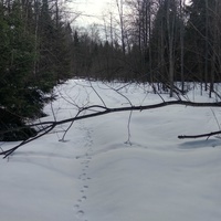 Старая дорога в д. Дресвянка