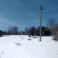 Улица в д. Кузьминское