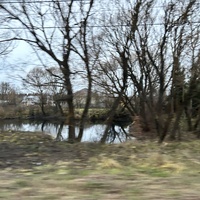 Пруд а Алексино