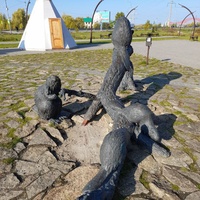 Бобры