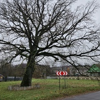 Улица Центральная
