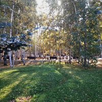 Парк имени Бориса Лосева