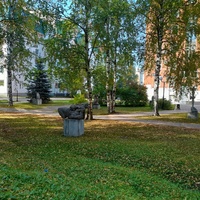 Сад культур