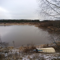 Осень 2024 год. Рождественское.